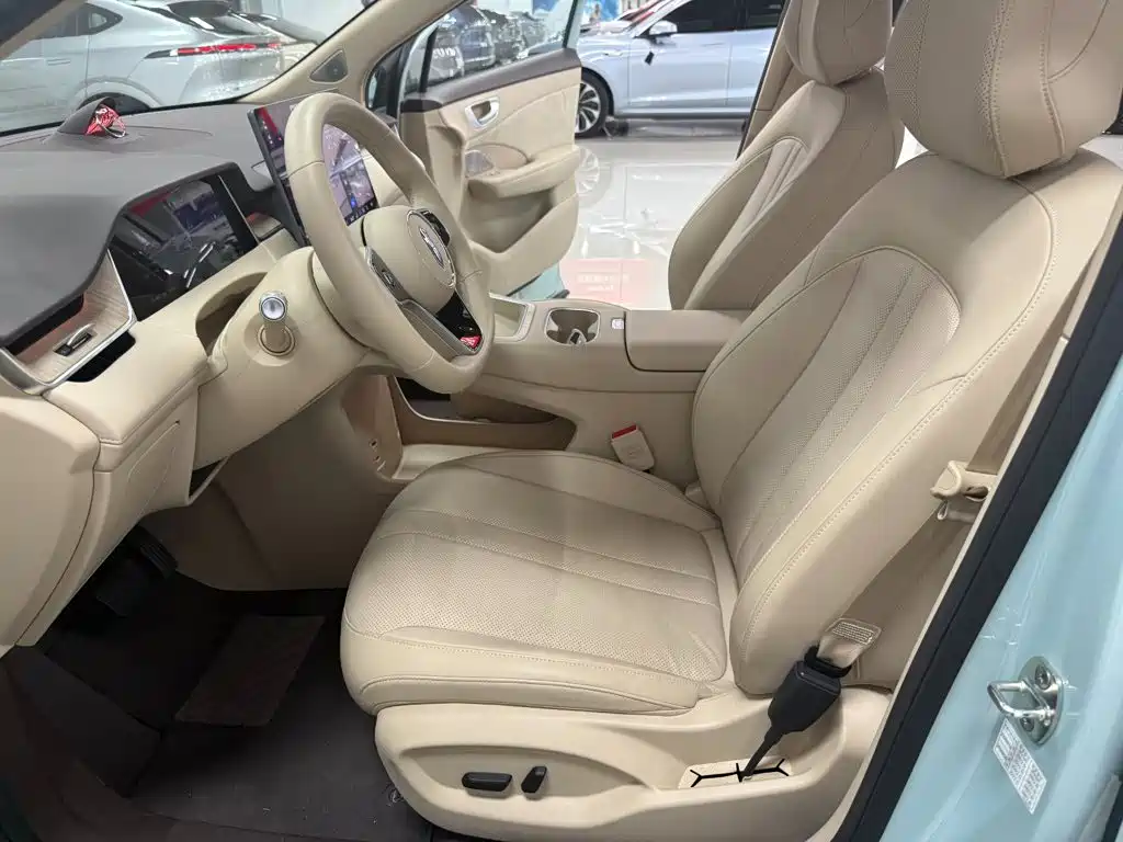 Shangjie Shangjie H5 — миниатюра 10