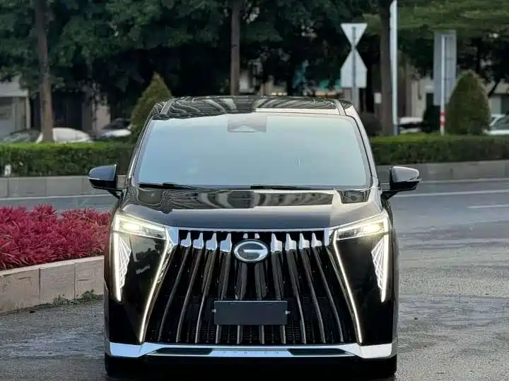 GAC Motor Trumpchi M8 — миниатюра 2