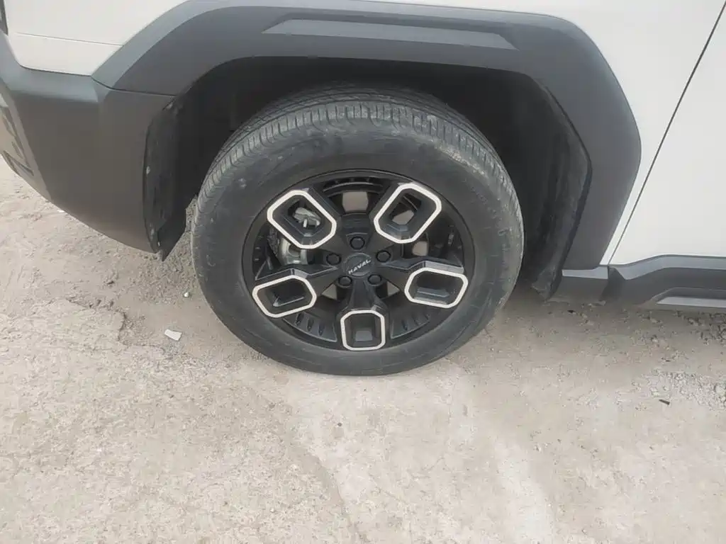 Haval Cool Dog — миниатюра 23