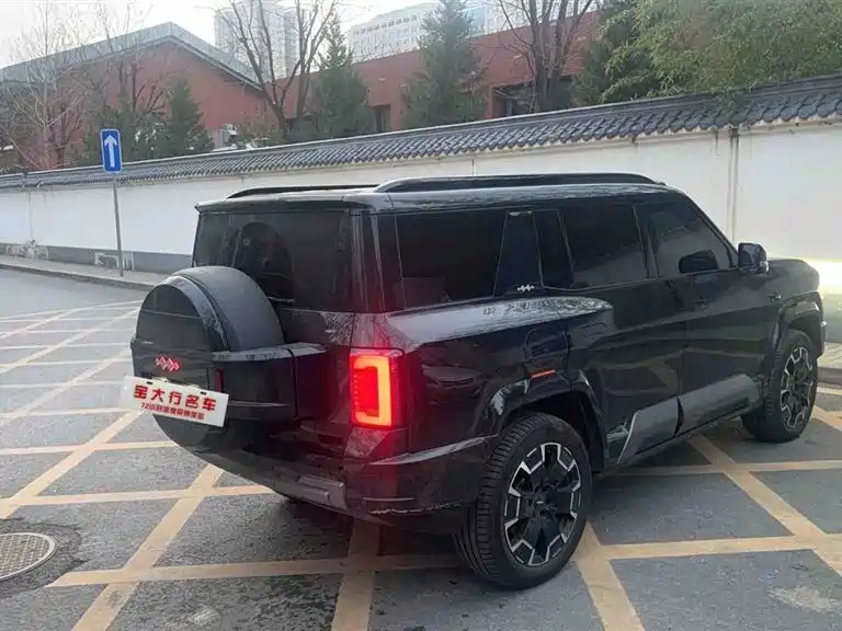 FANG CHENG BAO LEOPARD 8