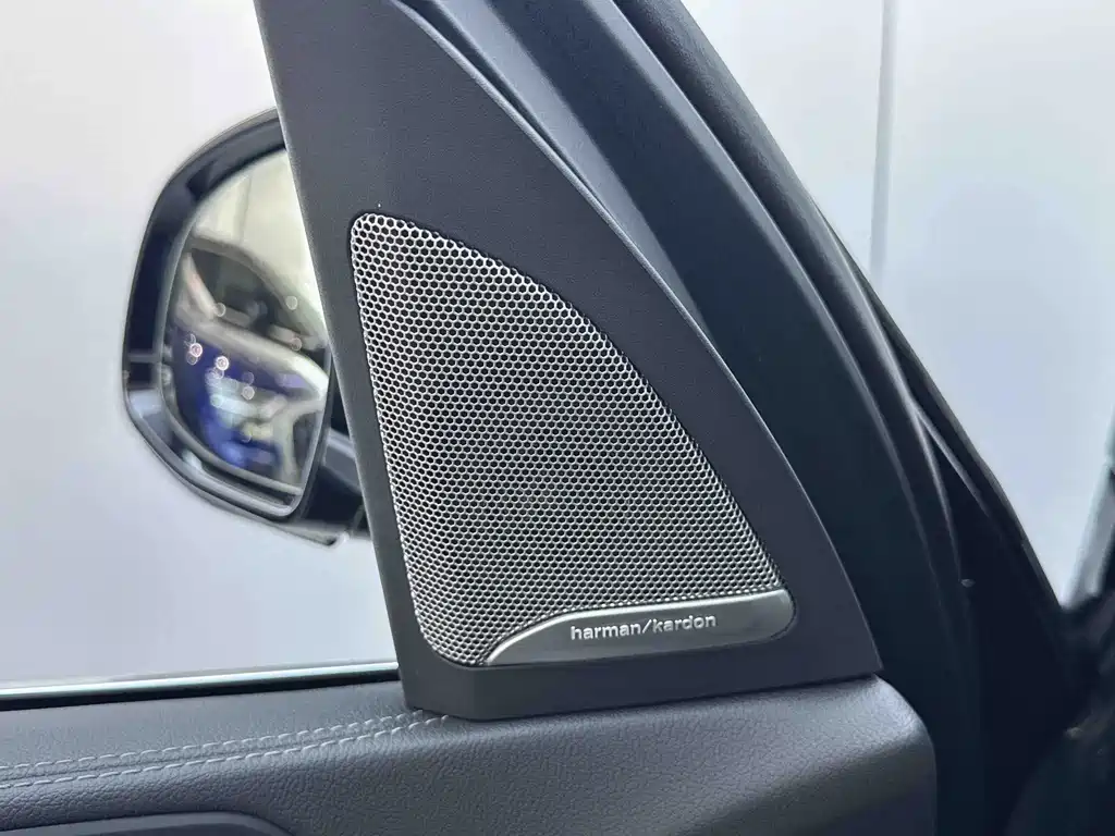 BMW X5 — миниатюра 11