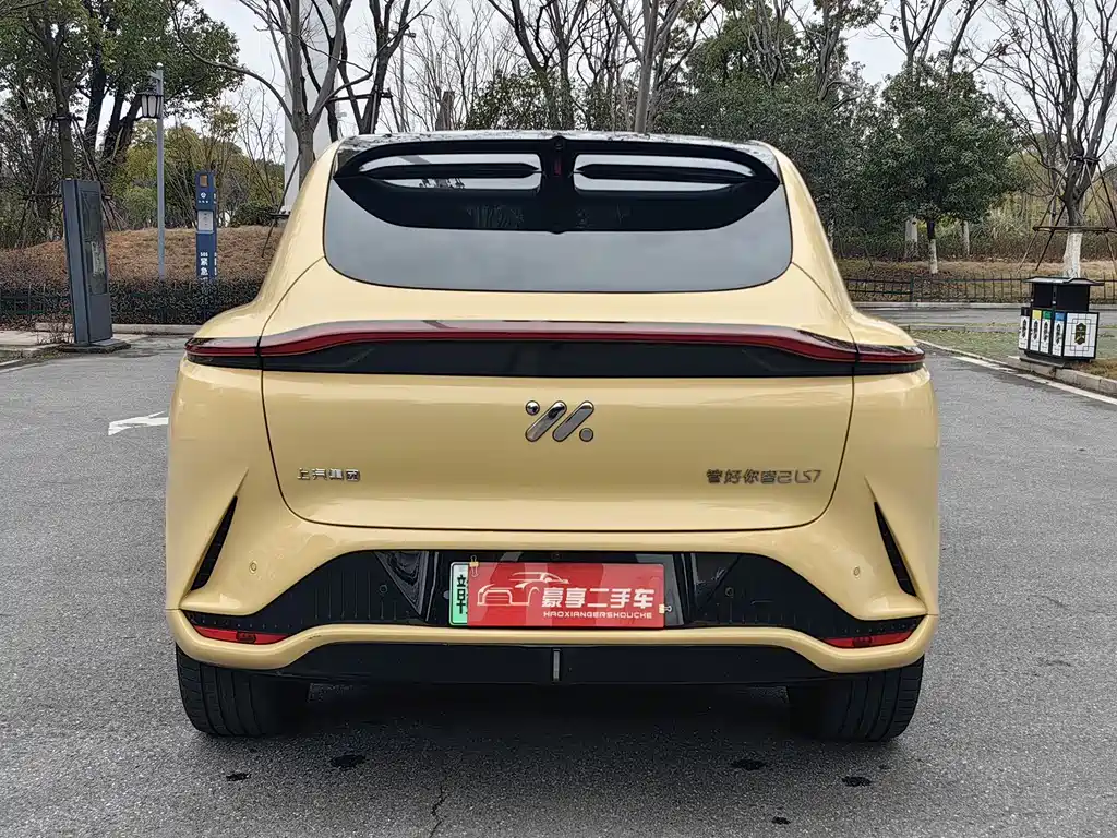 ZHIJI AUTOMOBILE ZHIJI LS7