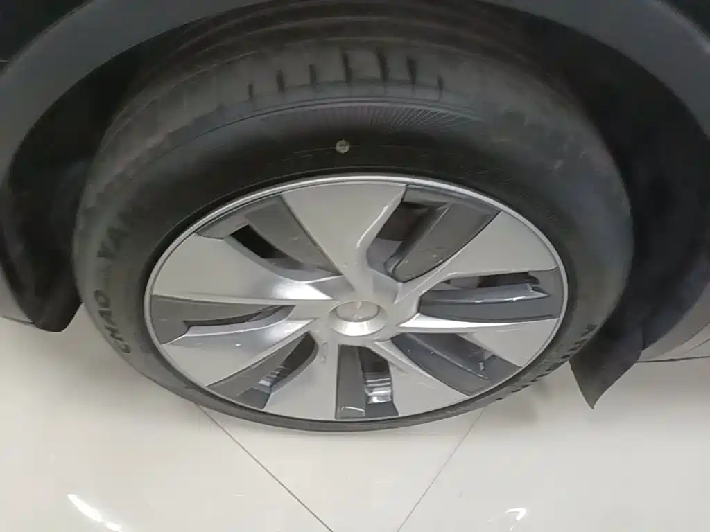 Tesla Model Y — миниатюра 23