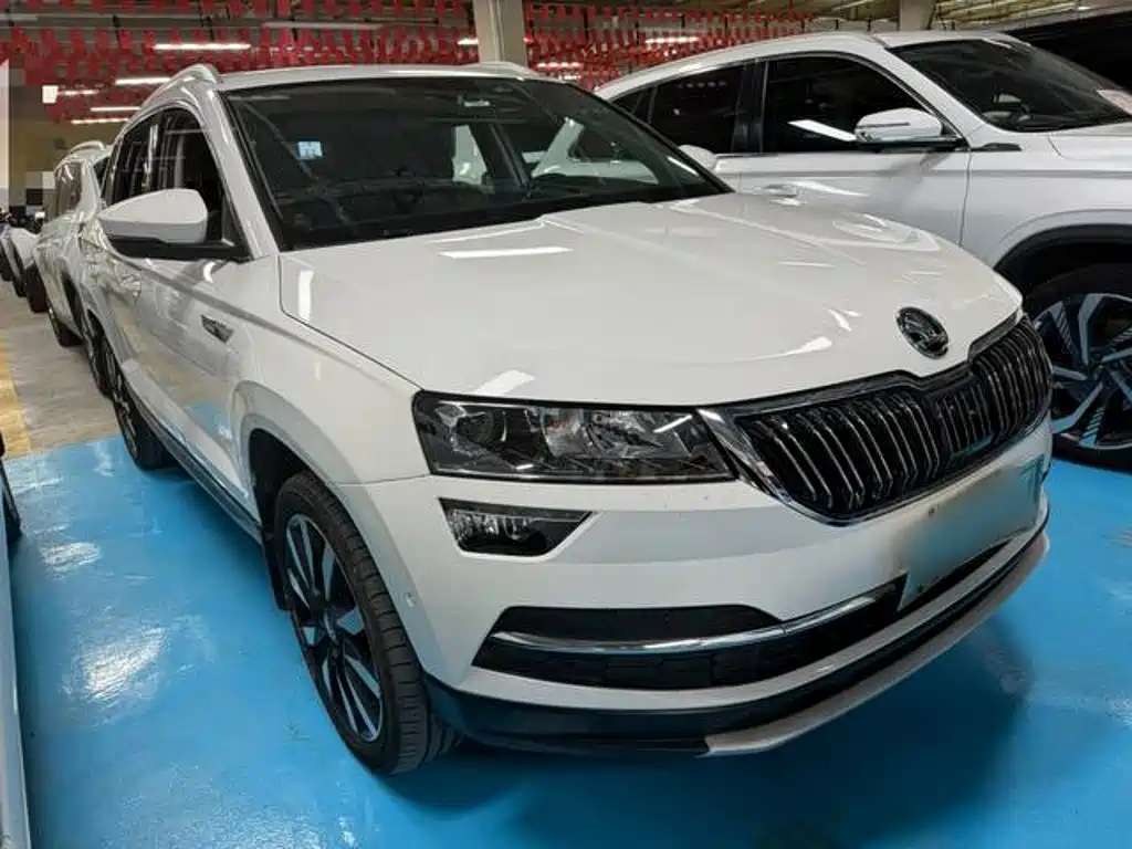 Skoda Karoq — миниатюра 22