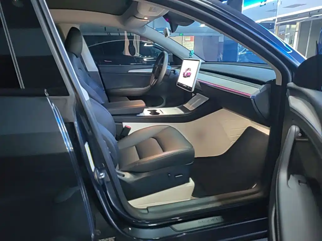 Tesla Model Y — миниатюра 25