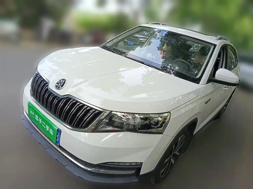 Купить Skoda Kamiq
