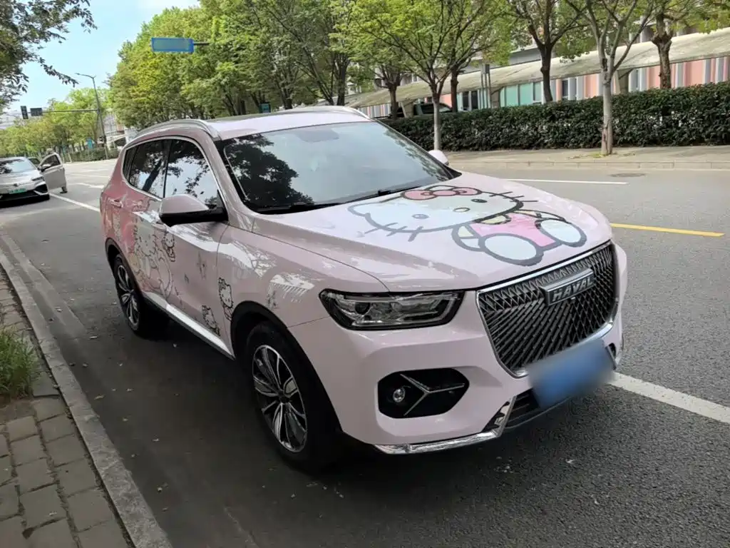 Haval H6 — миниатюра 4