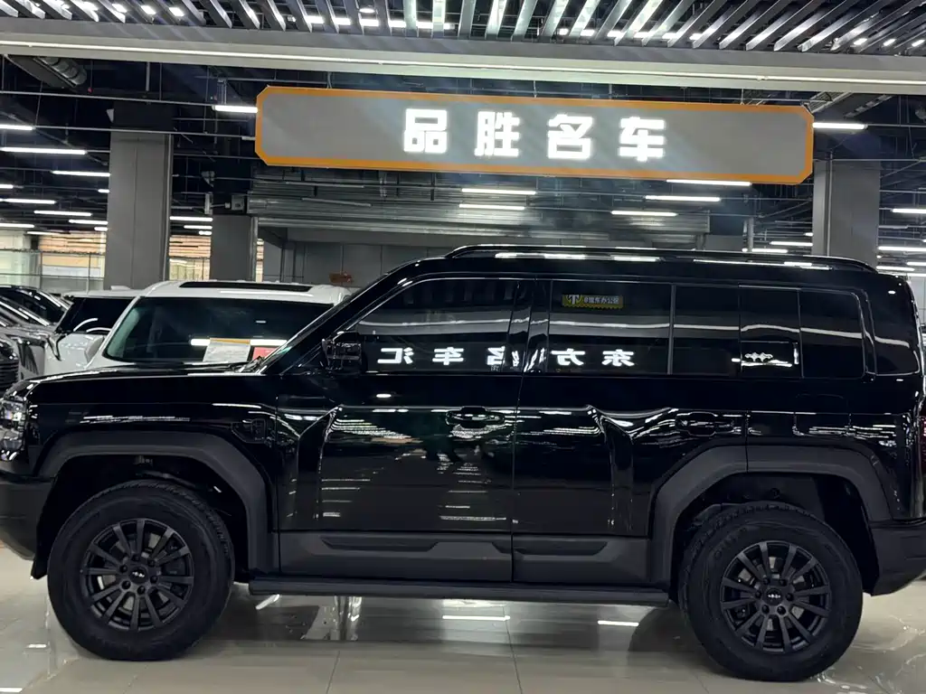 FANG CHENG BAO LEOPARD 5