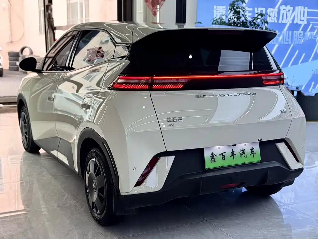 BYD Seagull