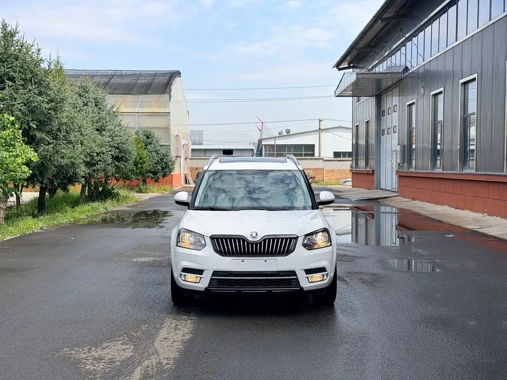Skoda Yeti — миниатюра 2