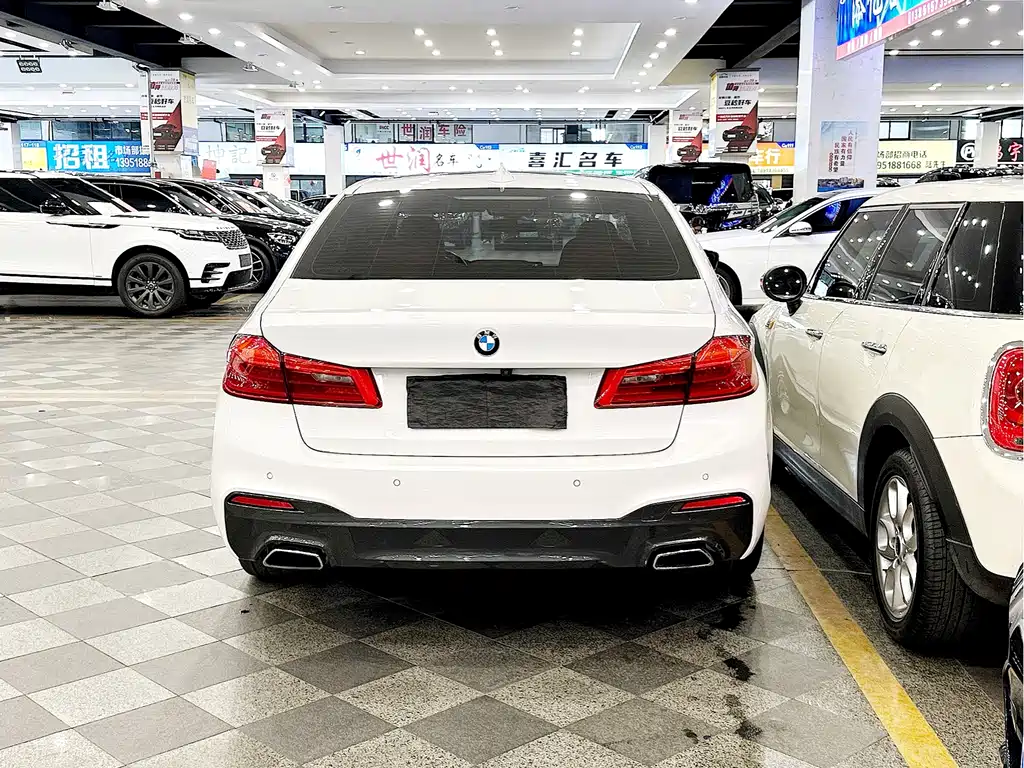 BMW 5 Series 5 2018 530Li Premium M Sport