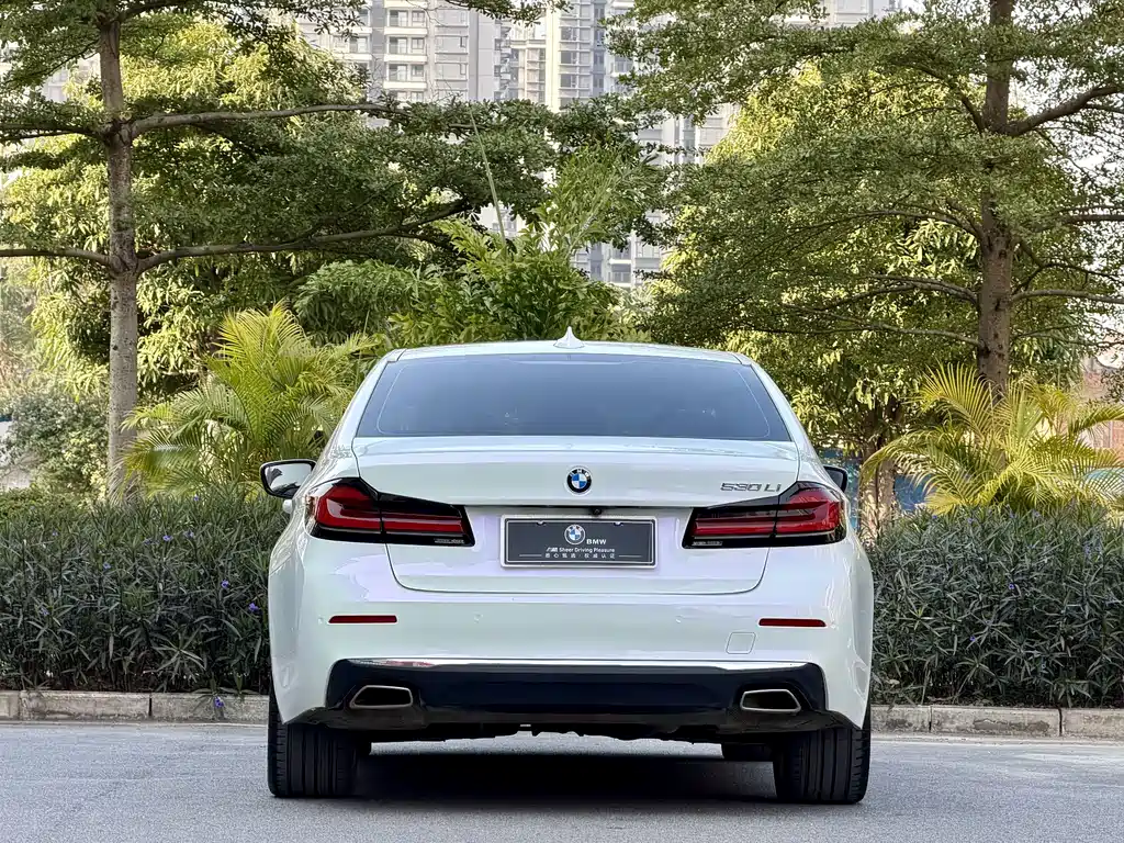 BMW 5 SERIES
