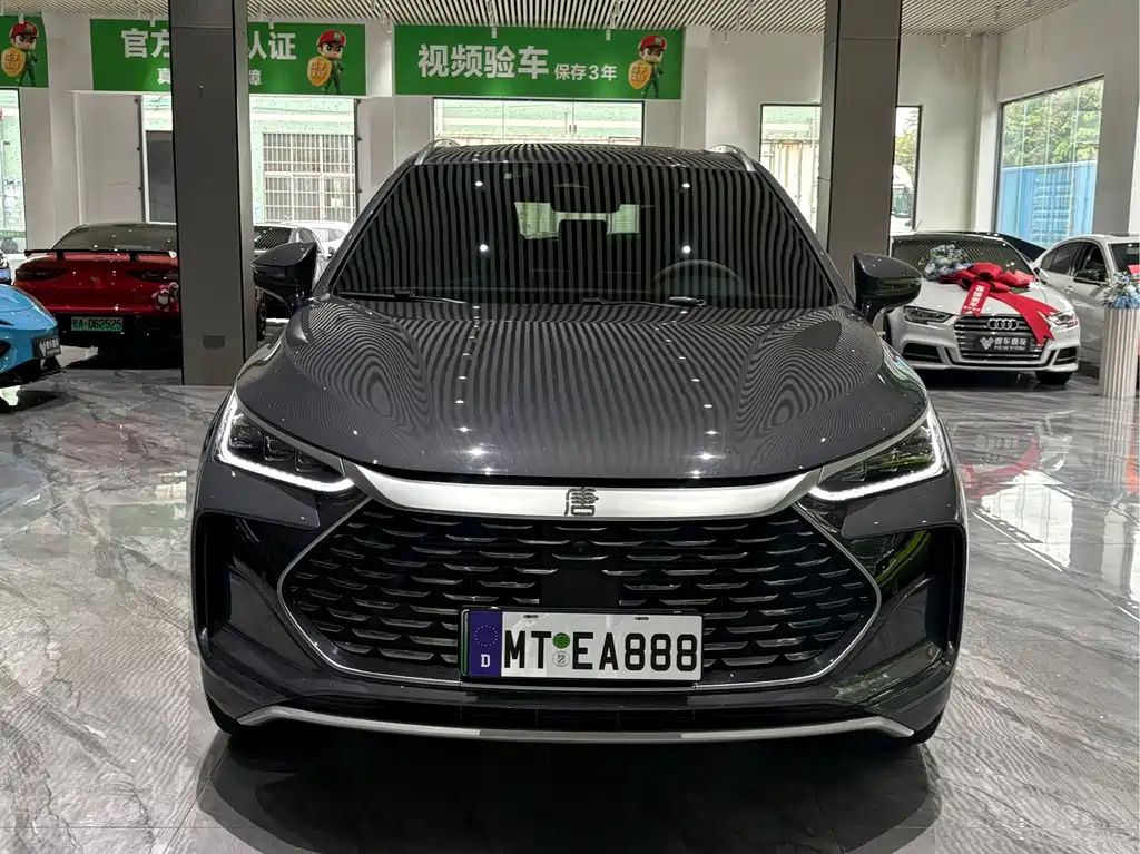 BYD Tang New Energy — миниатюра 2