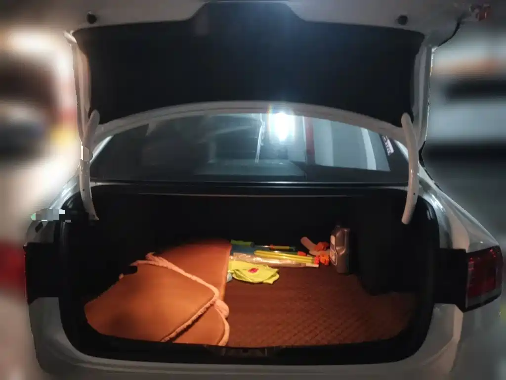 Volkswagen Lamando — миниатюра 10