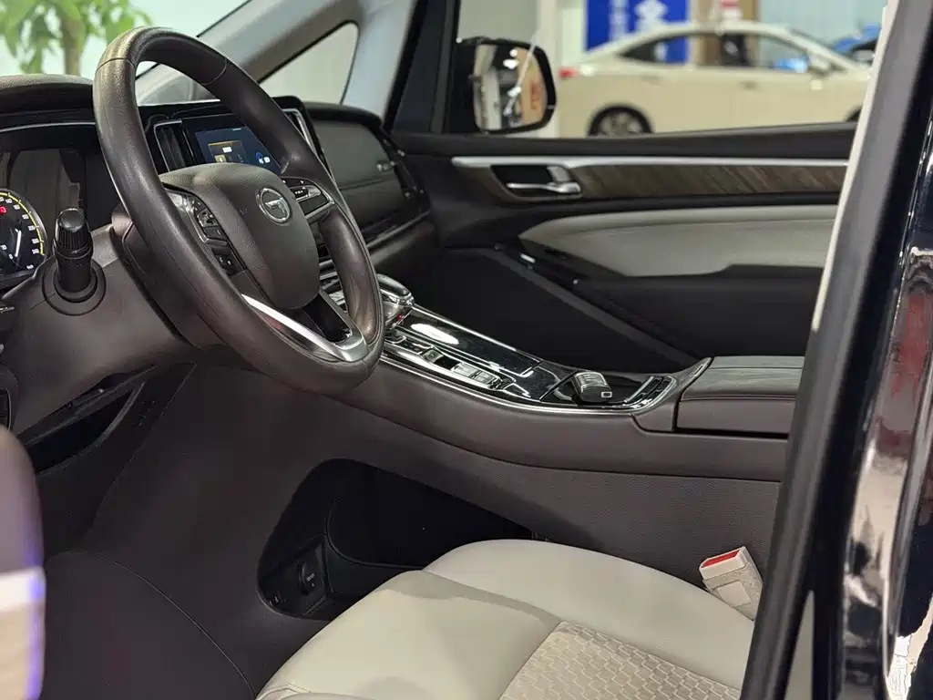 GAC Motor Trumpchi M8 — миниатюра 18