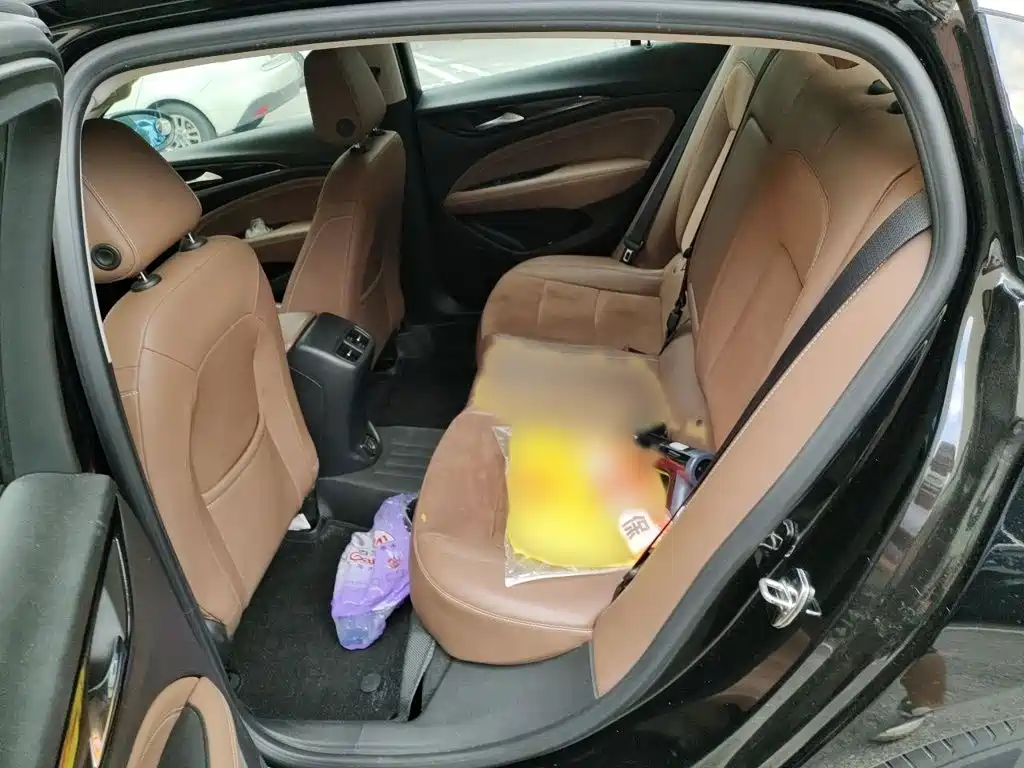 Buick Regal — миниатюра 15