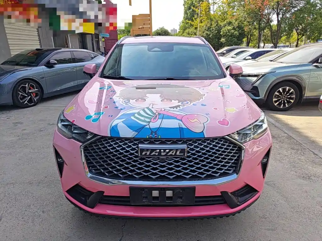 Haval H6 — миниатюра 3