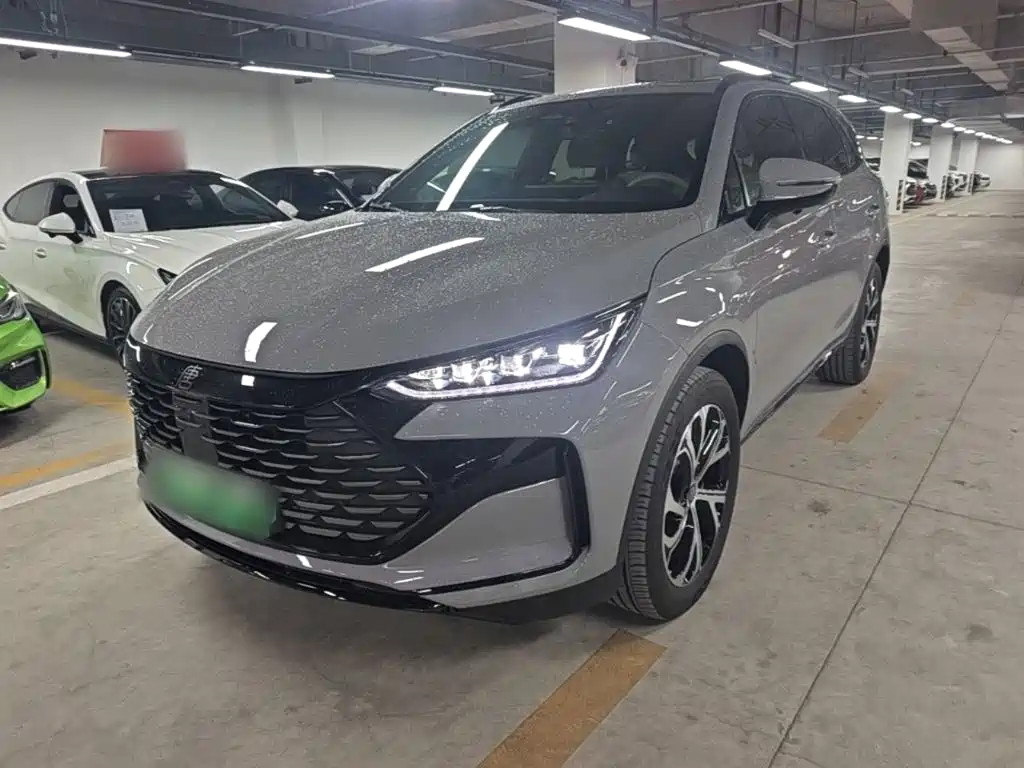BYD Tang New Energy 2025 DM-i 115KM Premium Type