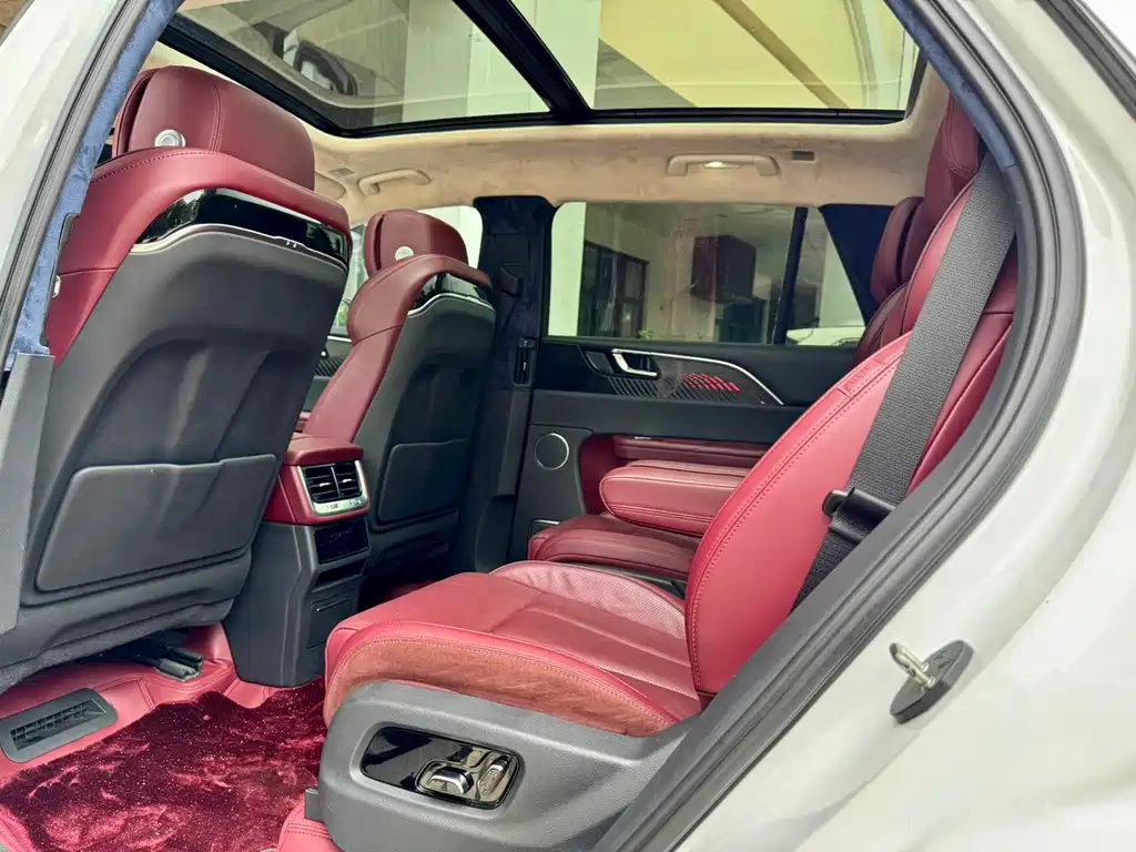Hongqi E-HS9 2021 510km мест