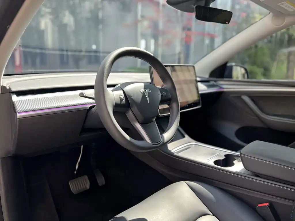 Tesla Model Y — миниатюра 4