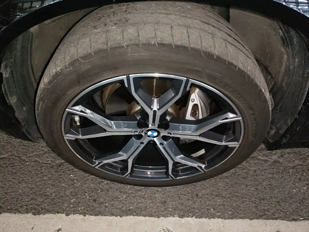 BMW X5 — миниатюра 23