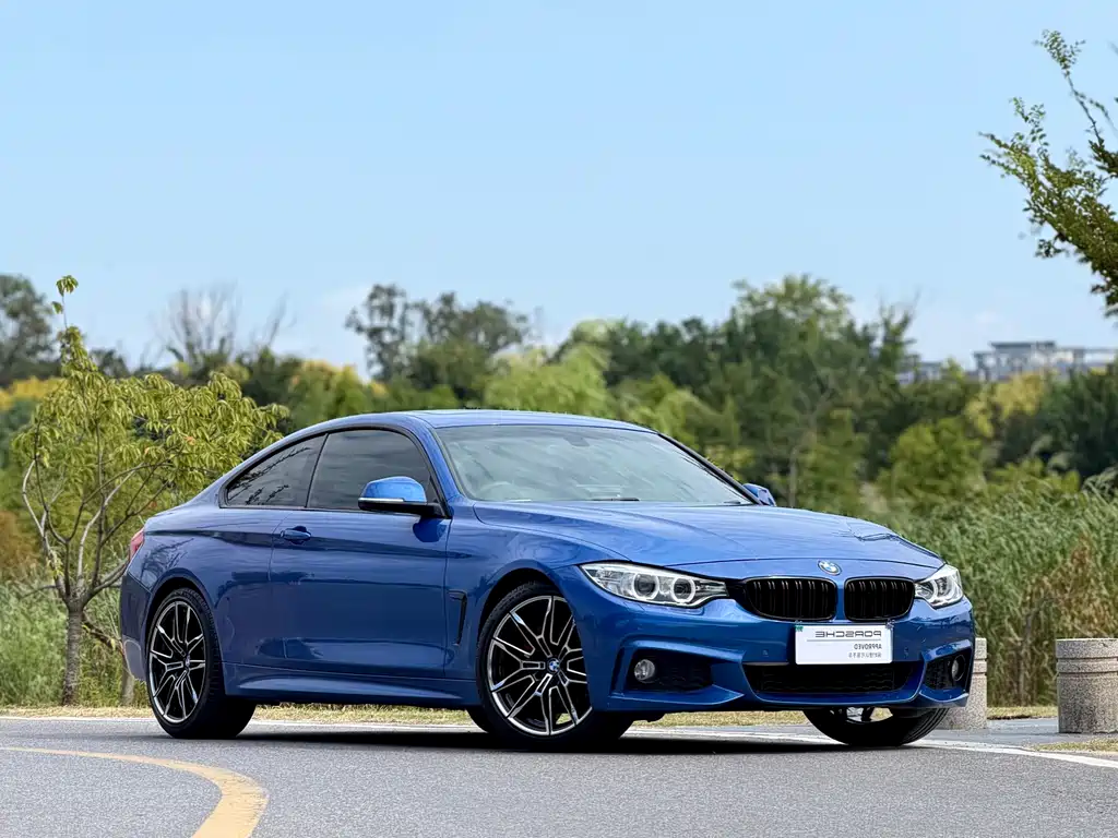 BMW 4 Series — миниатюра 4