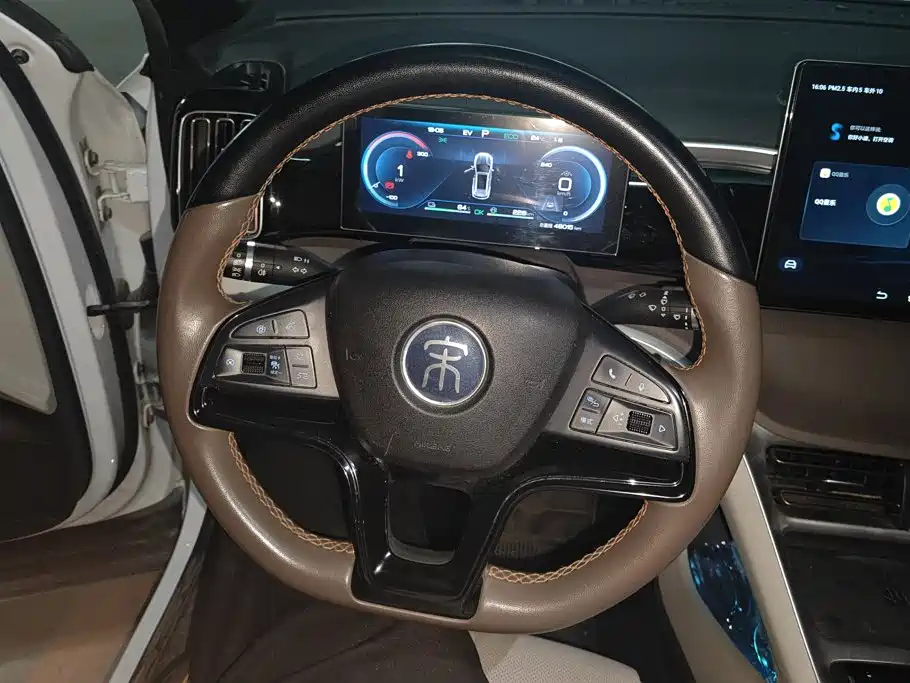 BYD Pro New Energy — миниатюра 15