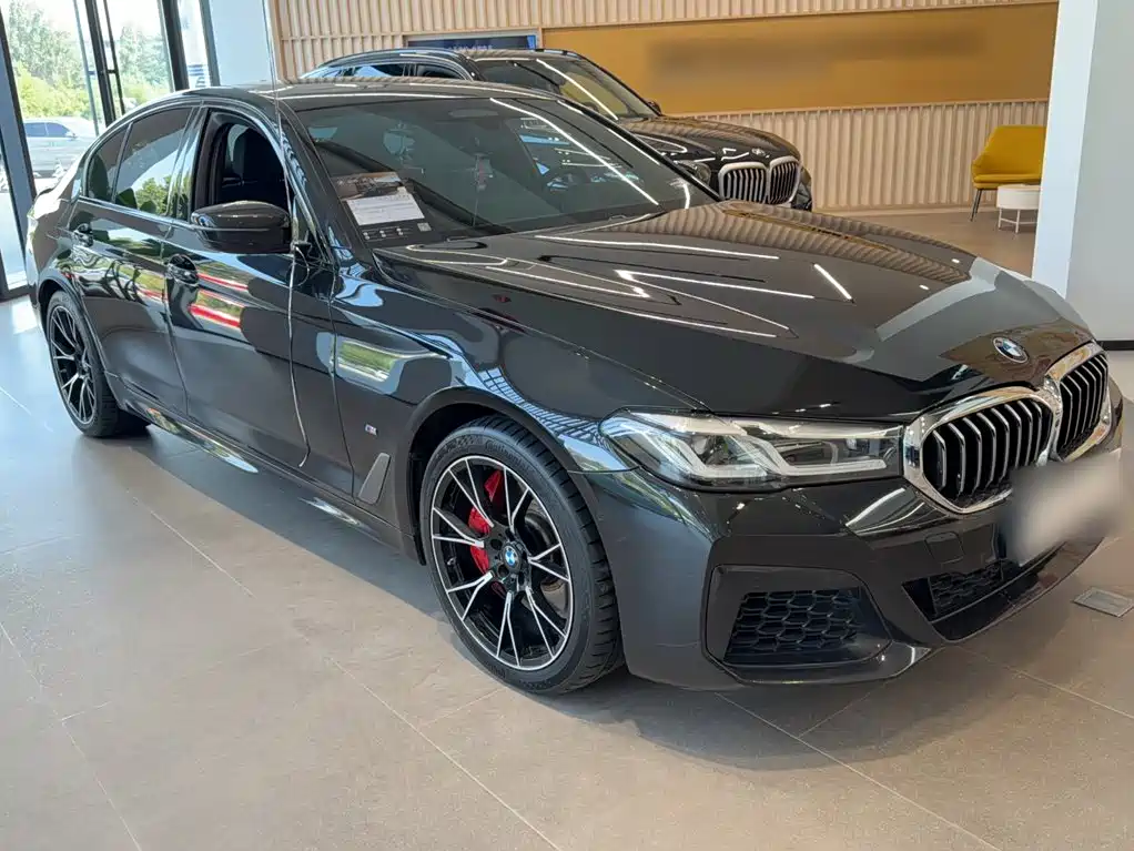 BMW 5 Series (Import) — миниатюра 7