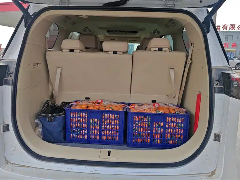 BUICK GL8 NEW ENERGY