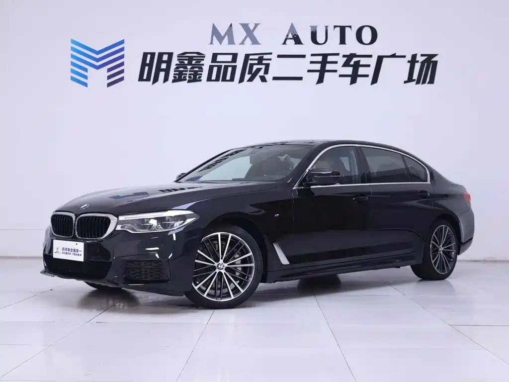 BMW 5 Series — миниатюра 2