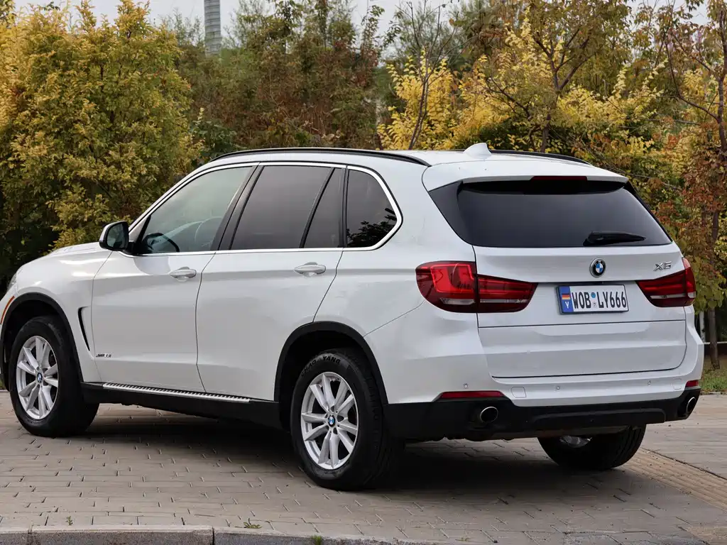 BMW X5 (Import) — миниатюра 8