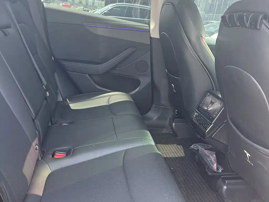 Tesla Model Y — миниатюра 14