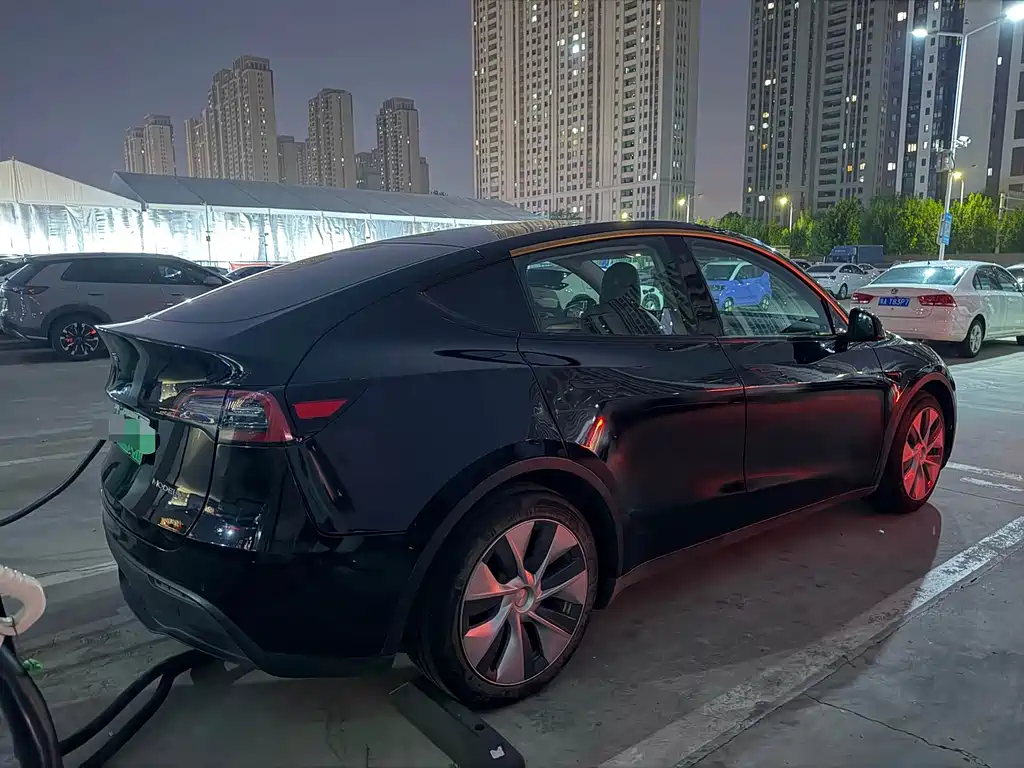 Tesla Model Y — миниатюра 8