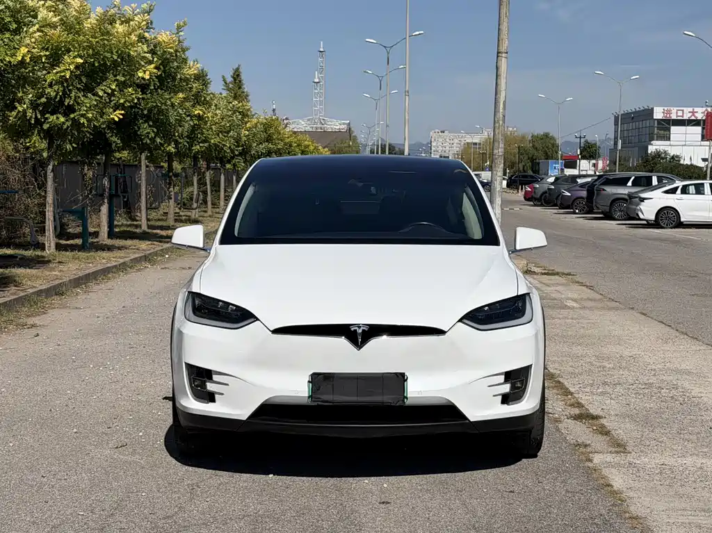 Tesla Model X — миниатюра 2
