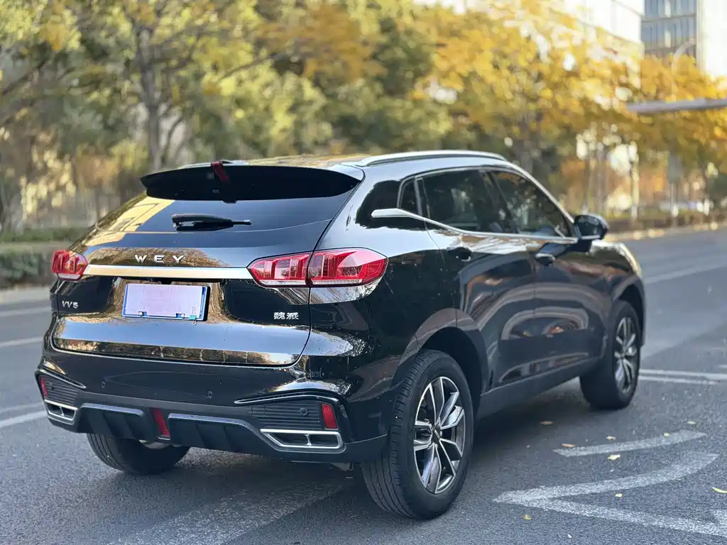 WEI PAI WEI BRAND VV5