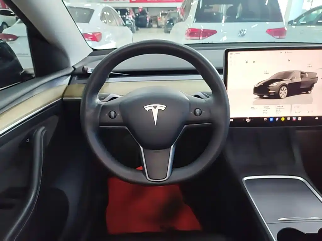 Tesla Model Y — миниатюра 11