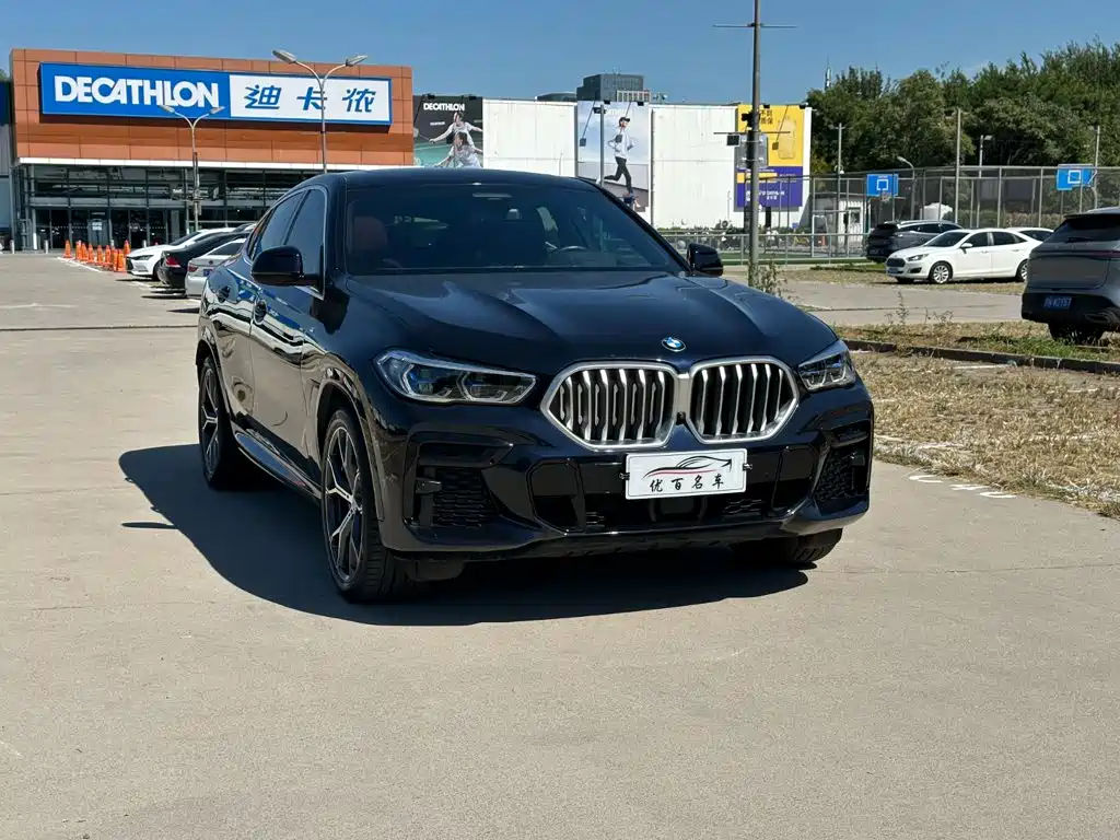 BMW X6 — миниатюра 3