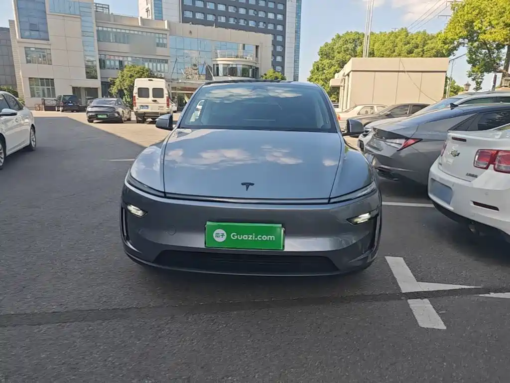 Tesla Model Y — миниатюра 3
