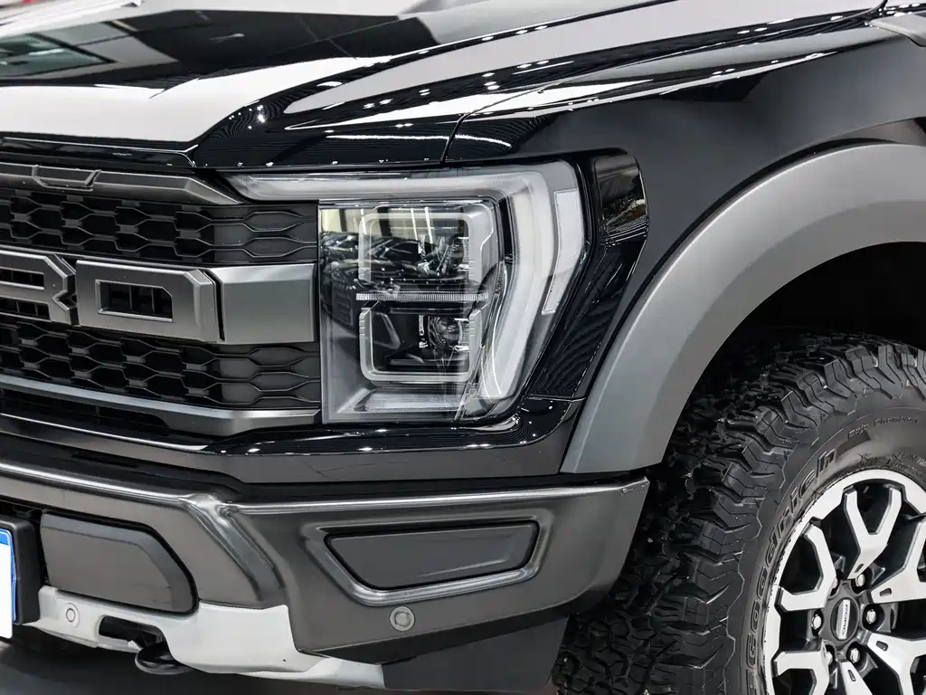 Ford F-150 Raptor — миниатюра 8