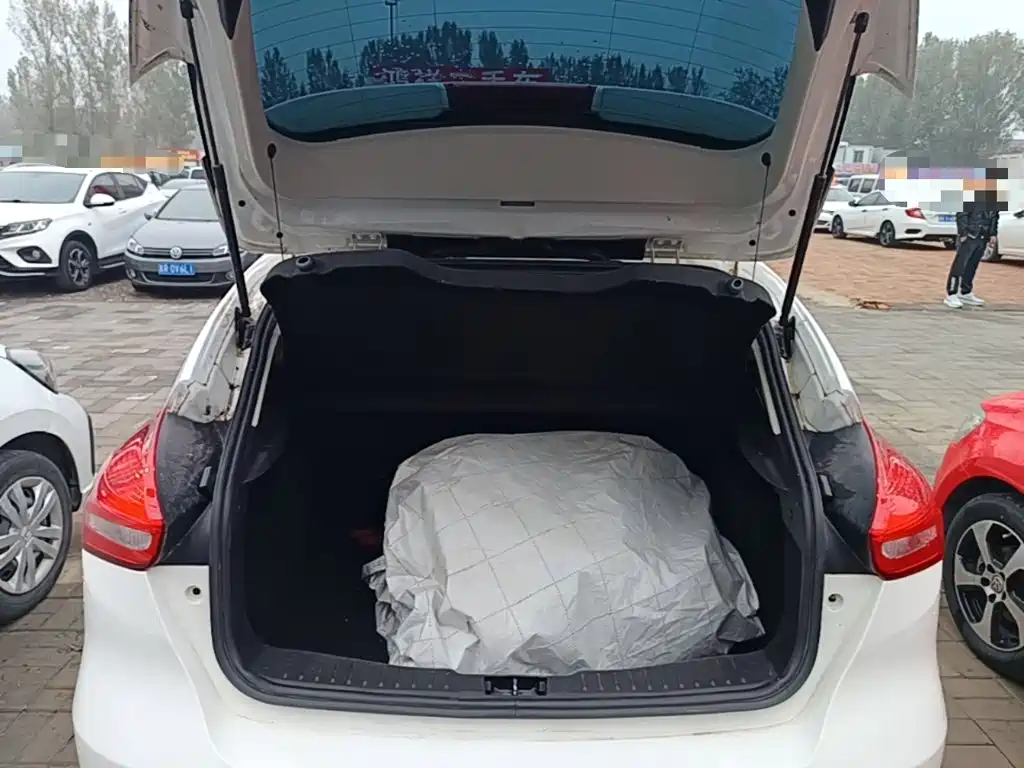 Ford Focus — миниатюра 19