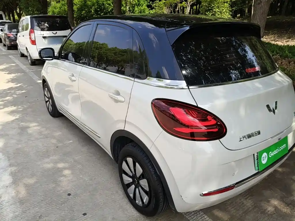 Wuling Binguo 2023 333km Enjoy