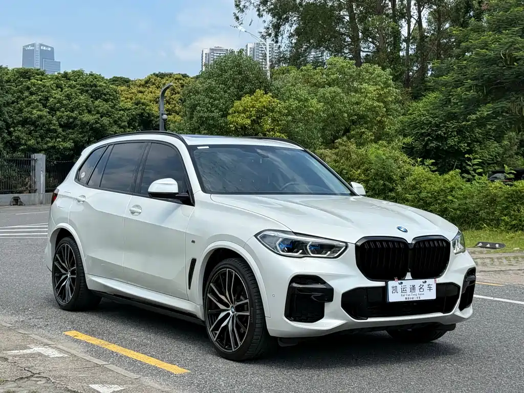 BMW X5 — миниатюра 3