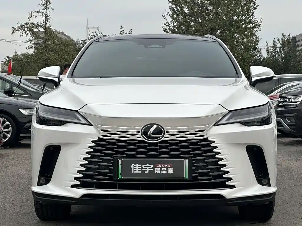 LEXUS RX NEW ENERGY