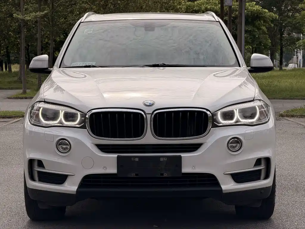 BMW X5 (Import) — миниатюра 2