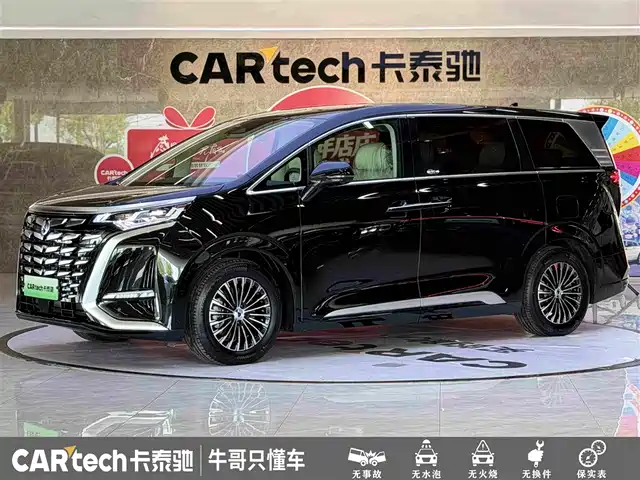 2025 Denza D9