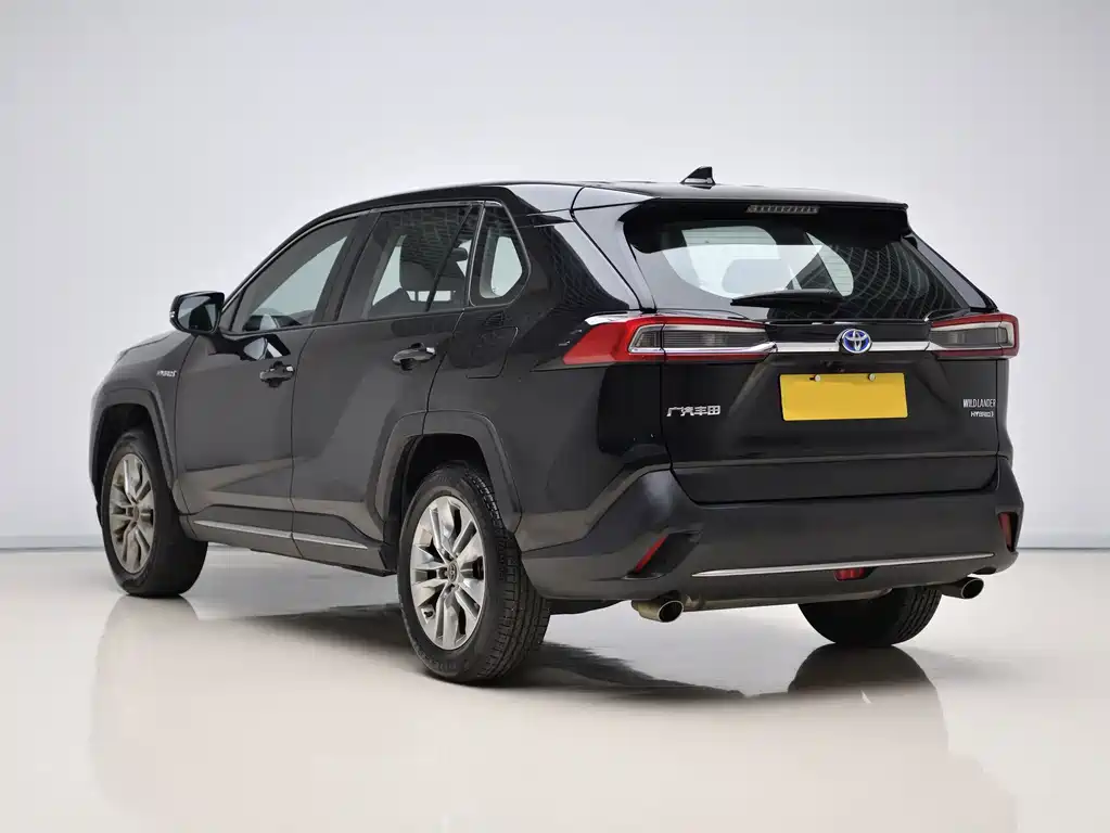 Toyota Wildlander — миниатюра 4
