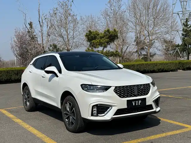 WEI PAI WEI BRAND VV5 2021