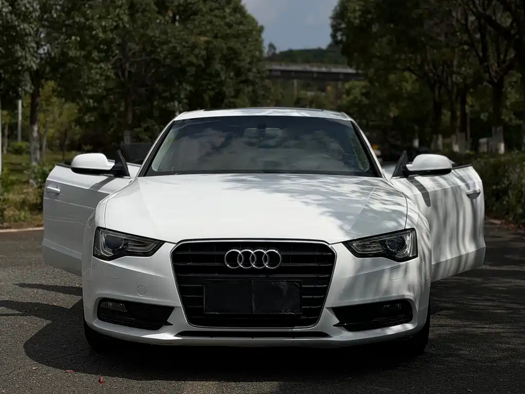 Audi A5 (Import) — миниатюра 2