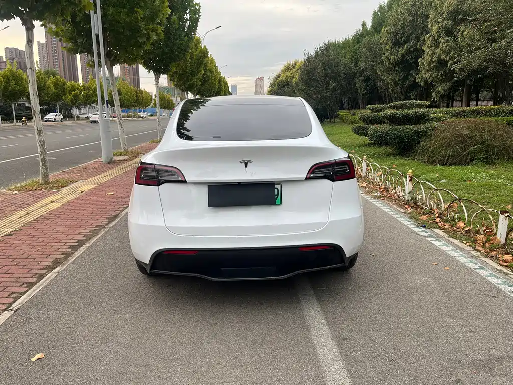 Tesla Model Y — миниатюра 9