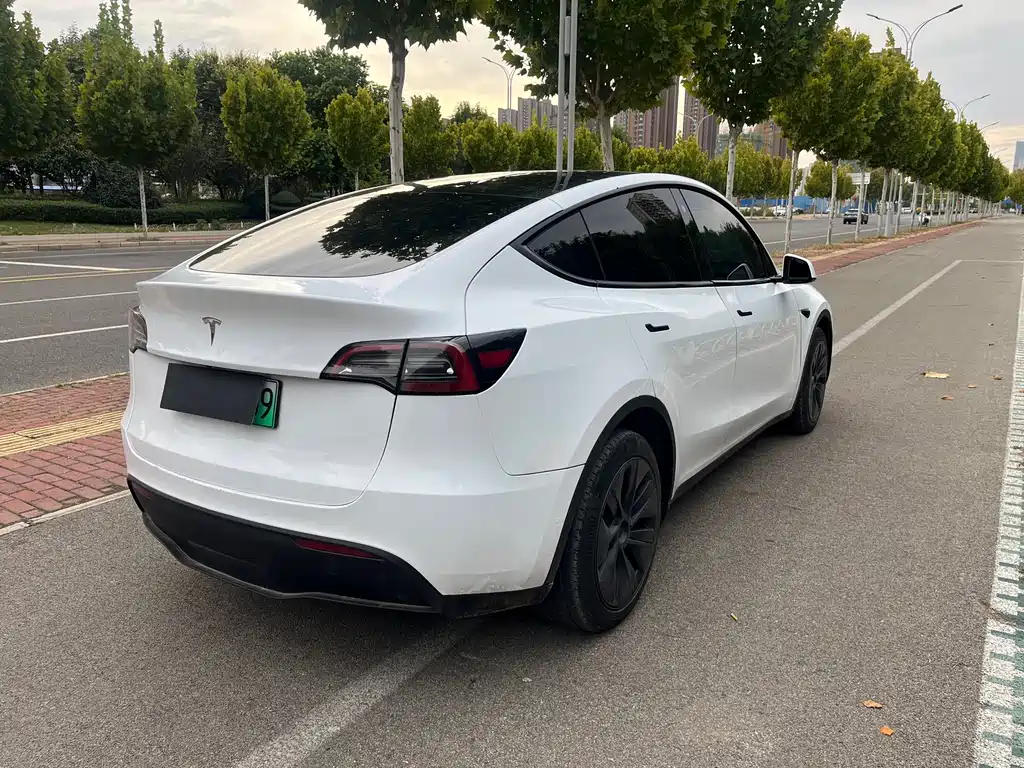 Tesla Model Y — миниатюра 10